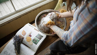 Herbal Medicine / Open Lines