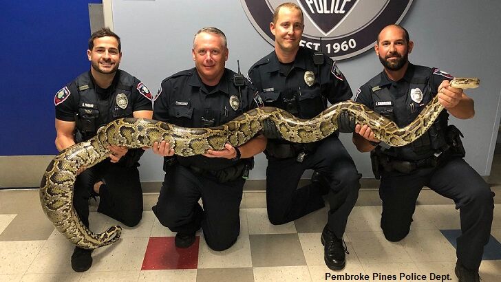 Florida Cops 'Bust' Massive Python