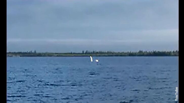 Weird 'White Nessie' Spotted in Russia