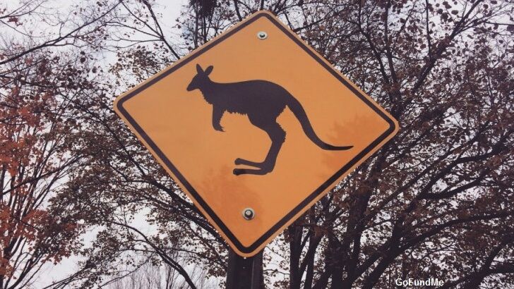 Removal of 'Kangaroo Crossing' Sign Causes Controversy in Ohio