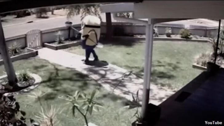 Watch: Minion Steals Man's Lawn