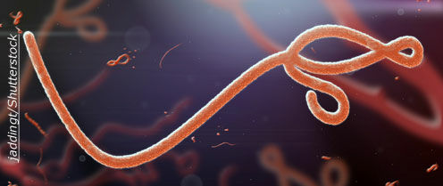 Knapp's News 8/17/14