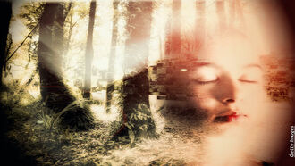 Investment Strategies/ Other Side Communications