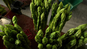 Asparagus Divination