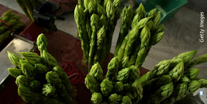 Asparagus Divination