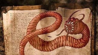 In Search of the Mongolian Death Worm