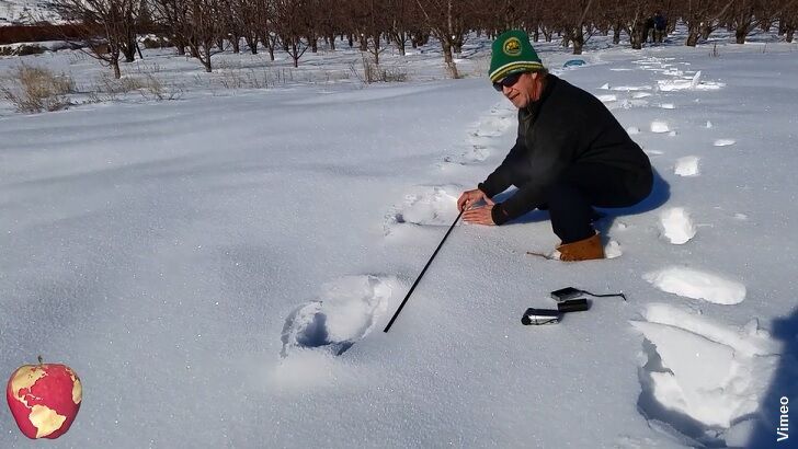 Sasquatch Tracks Found in Washington?