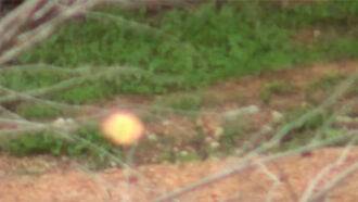 Intriguing Orb Video