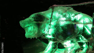 Ice Creature Glows Green