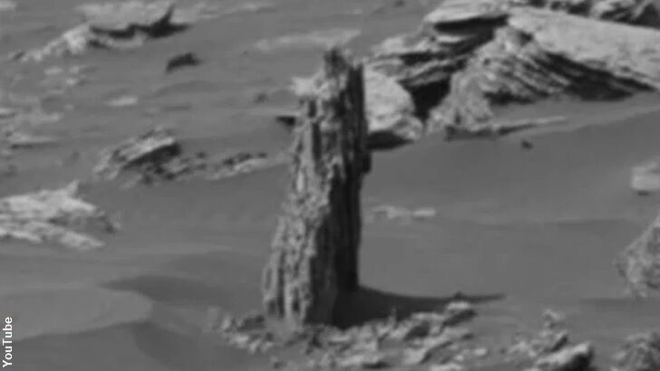 Anomaly Hunters Spot 'Tree Stump' on Mars