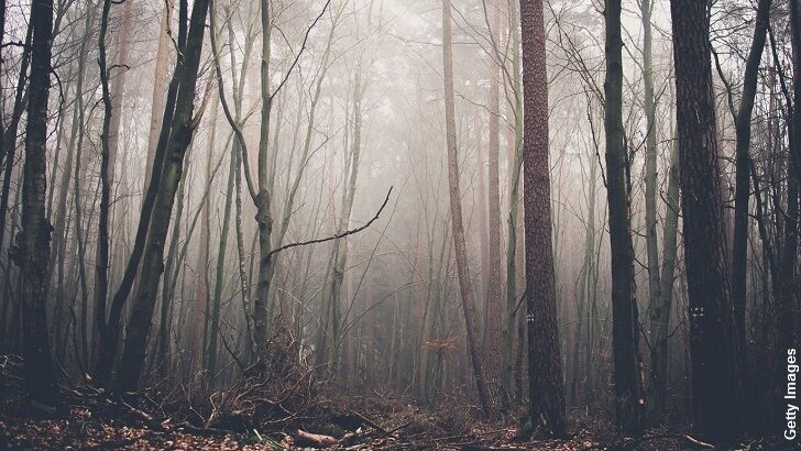 Forest Predator / The Unexplained