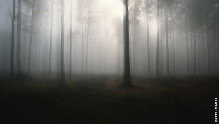 Strange Disappearances/ Japanese Mythology