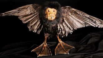 One of a Kind Auction