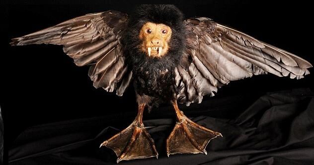 One of a Kind Auction