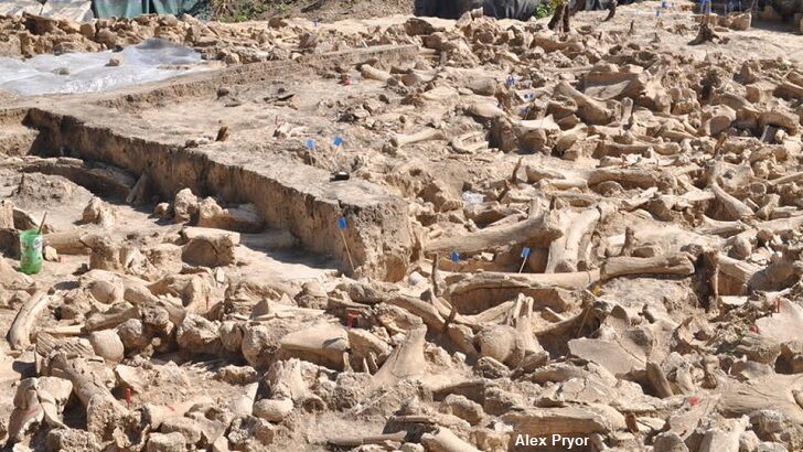 Ancient Ice Age Structure Made of Mammoth Bones Found in Russia