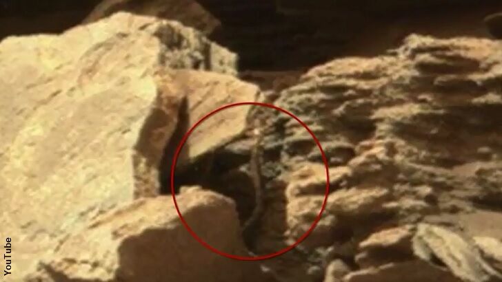 Video: Anomaly Hunters Spot Snake on Mars