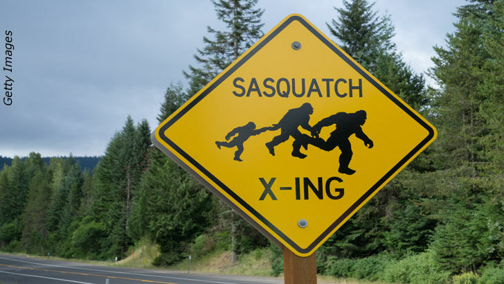 Sasquatch License Plate Proposed in Washington State