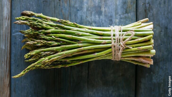 UK Mystic Predicts the Future Using Asparagus!