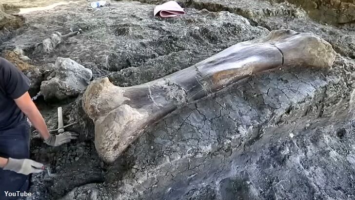 Gigantic Dinosaur Bone Found in France