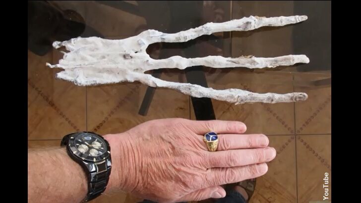 'Alien Hand' Found in Peru