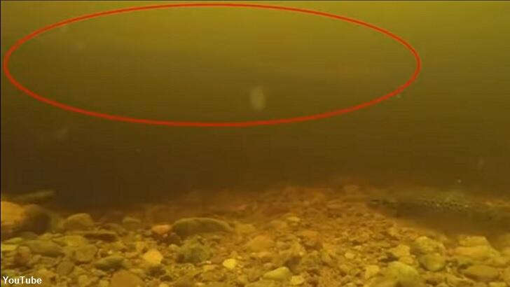 'Loch Ness Eel' Footage Sparks Monstrous Misunderstanding | Coast to ...