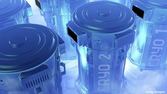 Adventures in Cryonics