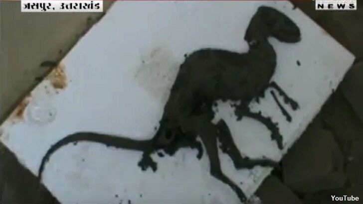 Odd 'Dinosaur' Body Found in India