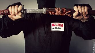 Japanese Prefecture Seeks Ninjas