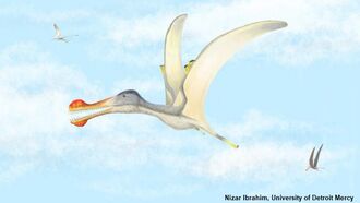 New Species of Ancient Flying Reptiles Discovered in Africa