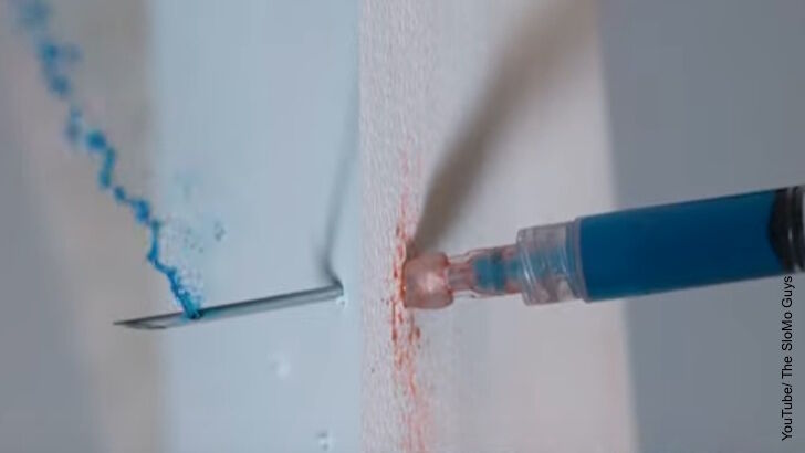 Watch: Tranquilizer Dart at 27,000 Frames Per Second