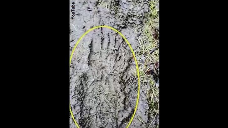 Bigfoot Print Found in UK Forest?