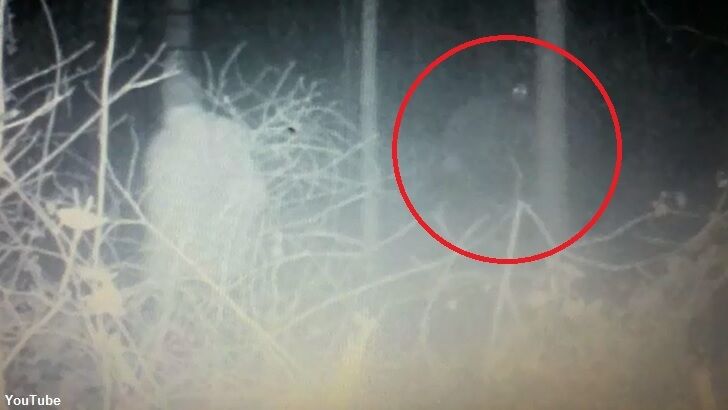 Bigfoot Spotted by Trail Cam?
