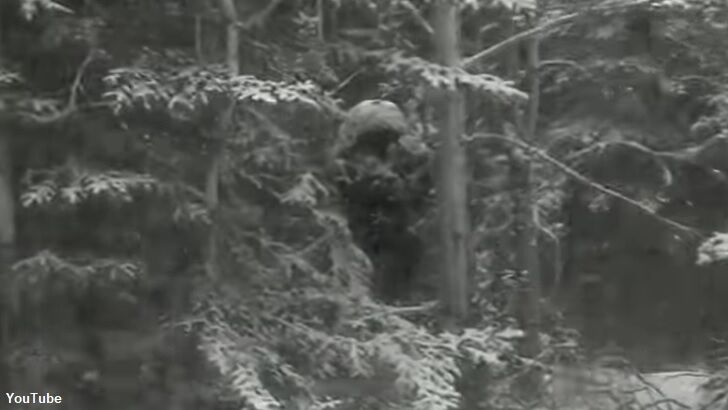 Bigfoot Filmed by Dashcam in Canada?