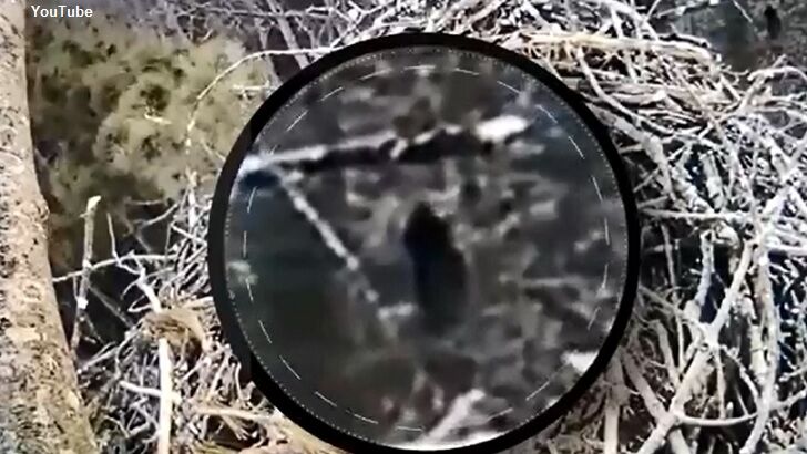 Watch: Webcam at Eagle's Nest Films Bigfoot?