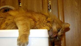 Art's Webcam 5/29/05