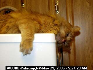 Art's Webcam 5/29/05