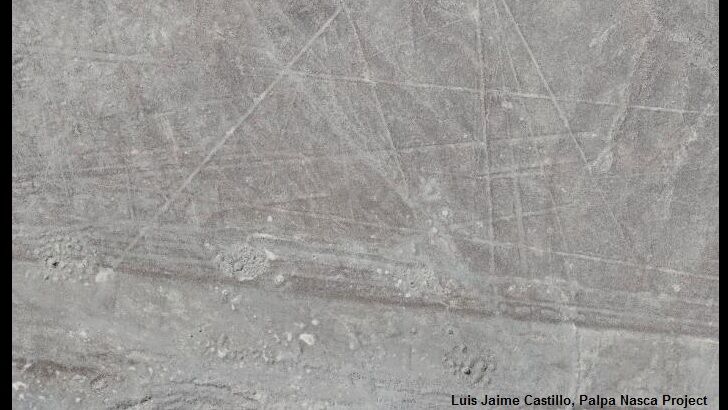 Drone Survey Discovers Bevy of New Nazca Lines