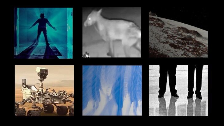 In Coast You Missed It 6/8/18