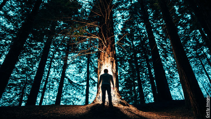 Alternative Health/ Psychic Profiler