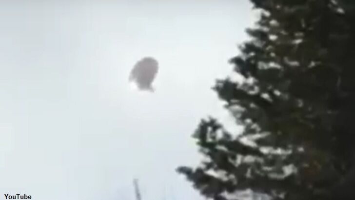 Weird Weather Balloon Over Quebec Mistaken for UFO