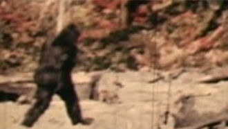 Patterson Film-- Stabilized Version