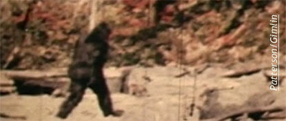 Patterson Film-- Stabilized Version