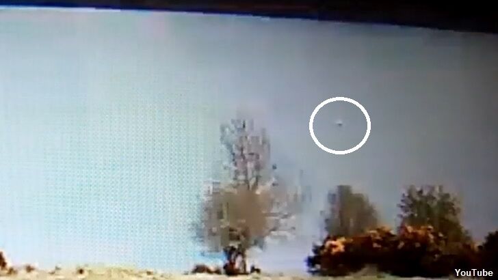 Video: Nessie Spotted on Webcam?