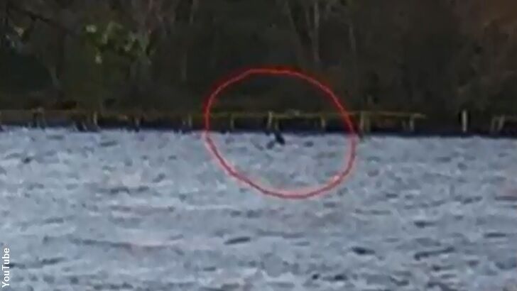 Nessie 'Returns' with New Sighting