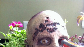 C2C Digicam: Walking Dead Packaging