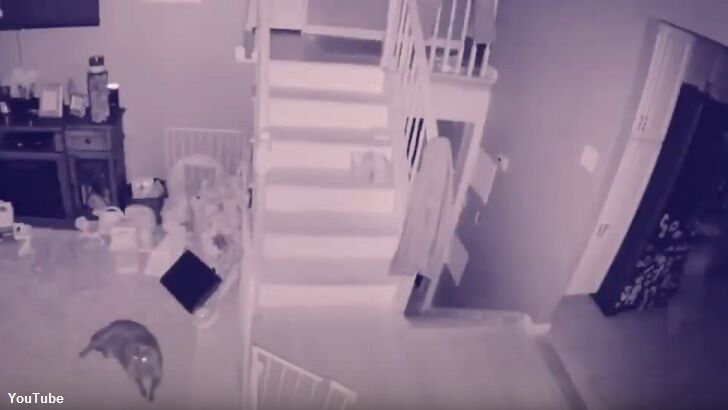 Watch: Ghost Child Filmed by Home Security System?