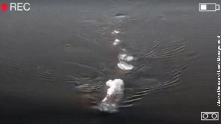 Watch: Baffling Anomaly Filmed in Alaskan River