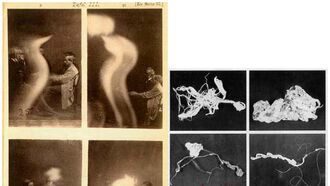 Beckley Images: Phenomena & Duos