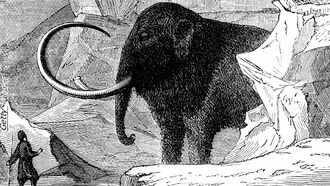 Scientists Ready To Clone Frozen Woolly Mammoths