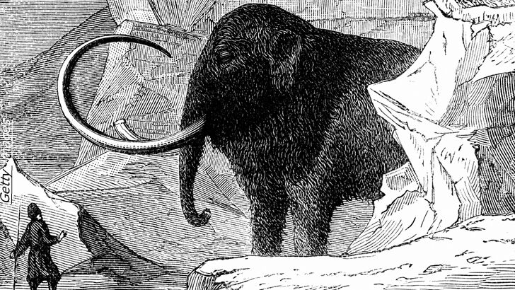 Scientists Ready To Clone Frozen Woolly Mammoths